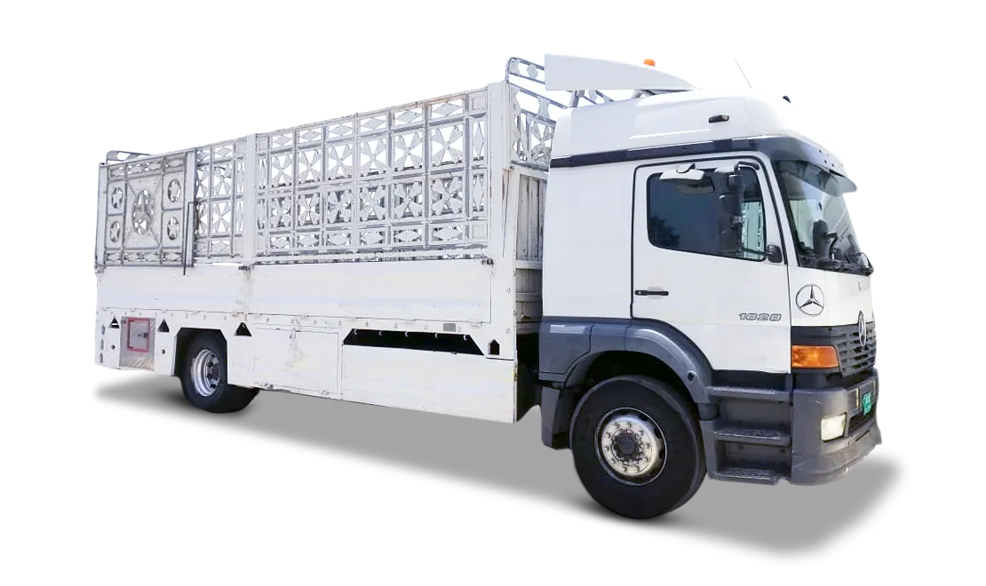 7 Ton & 10 Ton Truck Rental in dubai